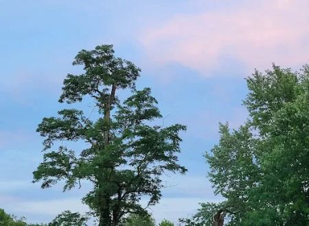 Sugar Maple Grove Campground