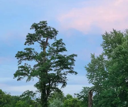 Sugar Maple Grove Campground