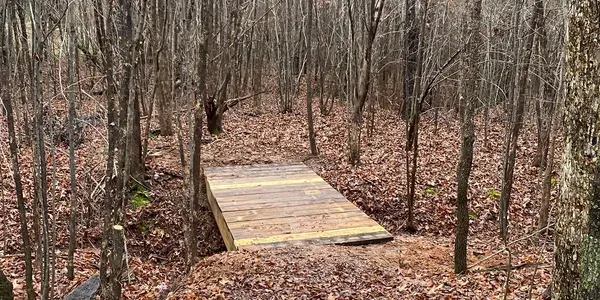 Syc Nature Park (Campground) Picture 4