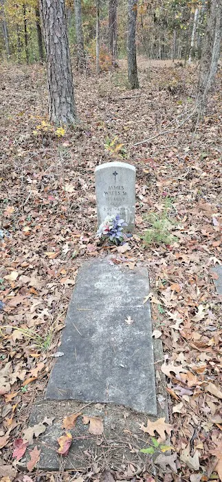 Mansfield Picture 2