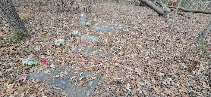 Mansfield Picture 1
