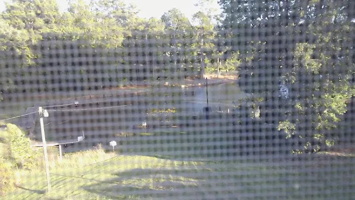 Bg's Campground Picture 6