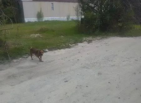 Lake Side Mobile Home Park