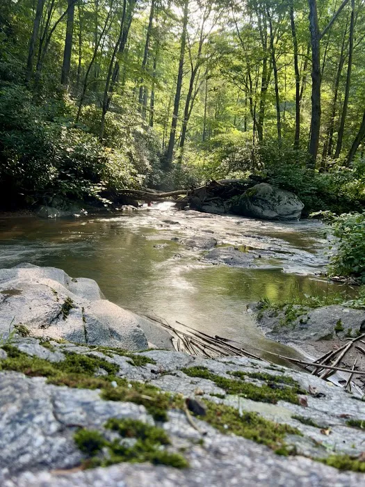 Mountain Paradise Picture 4