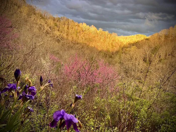 Mountain Paradise Picture 5