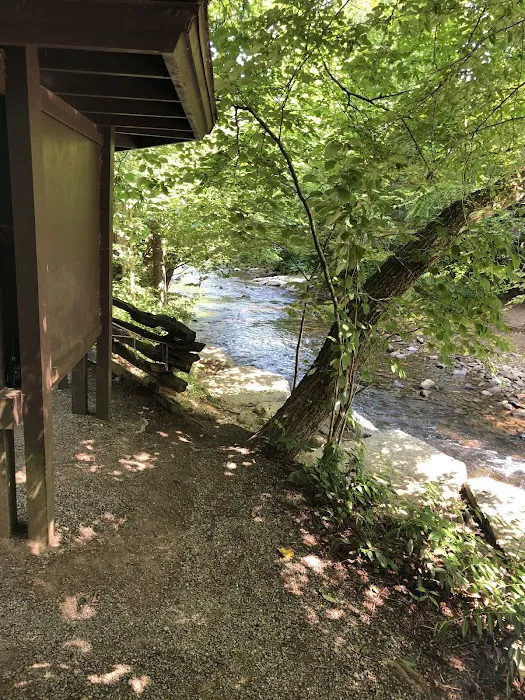 North Mills River Campground & Recreation Area Picture 6