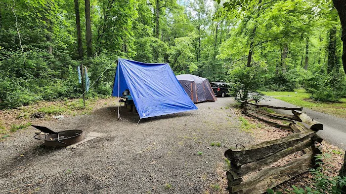 North Mills River Campground & Recreation Area Picture 5