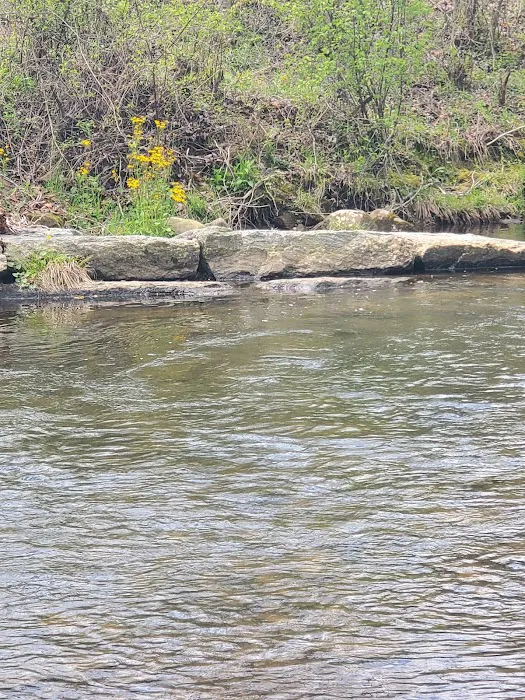 North Mills River Campground & Recreation Area Picture 4