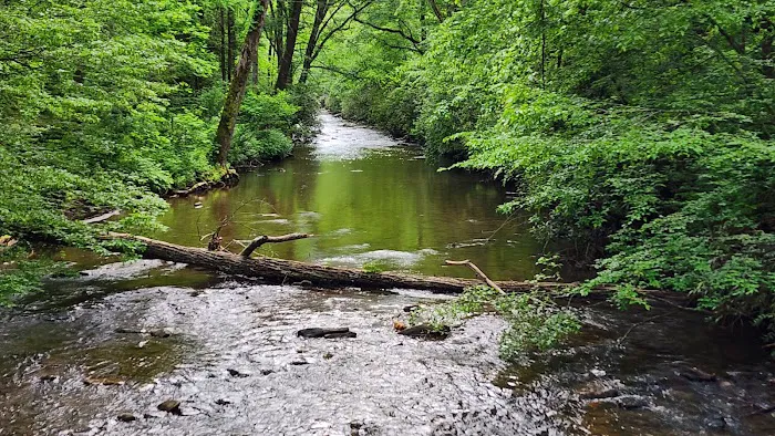 North Mills River Campground & Recreation Area Picture 8