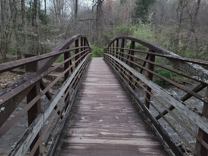 North Mills River Campground & Recreation Area Picture 9