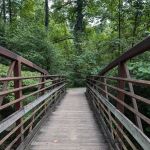 North Mills River Campground & Recreation Area