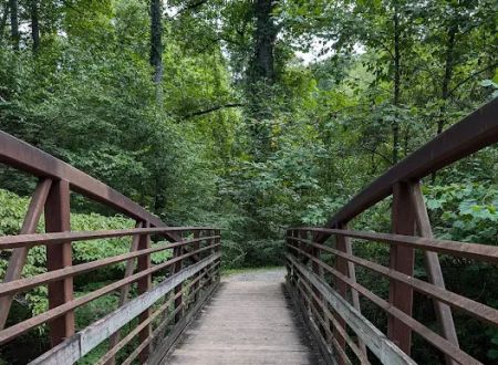 North Mills River Campground & Recreation Area