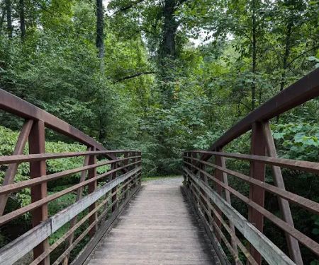 North Mills River Campground & Recreation Area