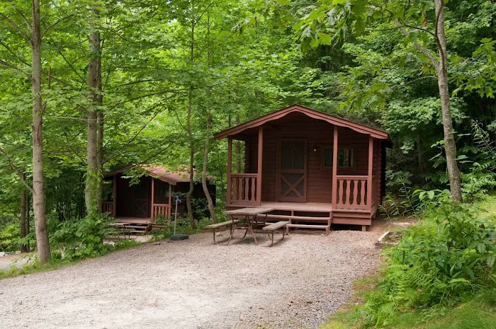 Black Forest Family Camping Resort Picture 2