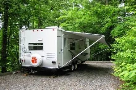 Black Forest Family Camping Resort Picture 6