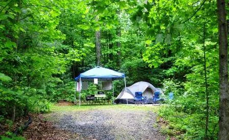 Black Forest Family Camping Resort Picture 4