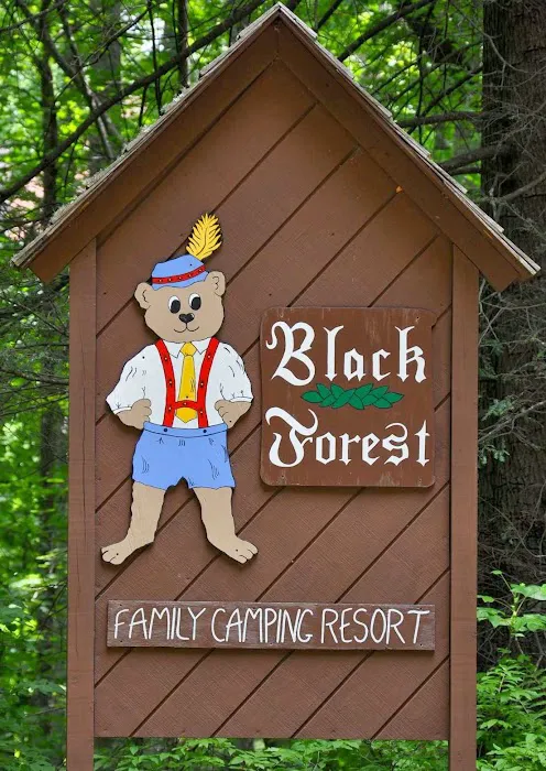 Black Forest Family Camping Resort Picture 3
