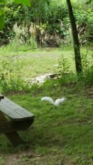 Back Yard Campground Picture 10