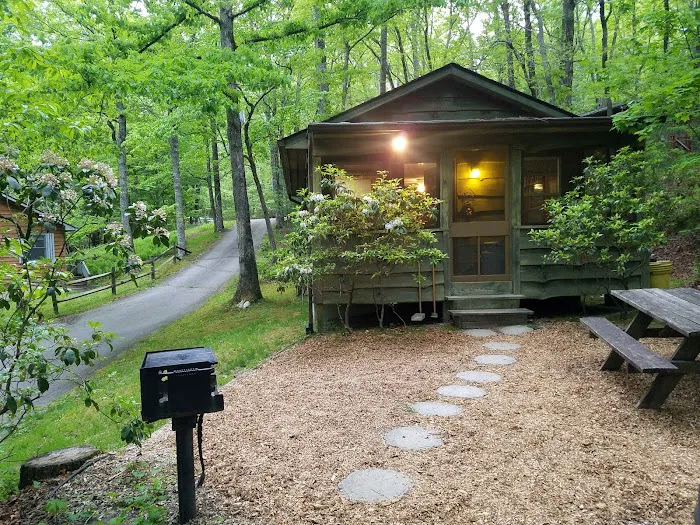 Ash Grove Mountain Cabins & Camping Picture 1