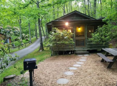 Ash Grove Mountain Cabins & Camping