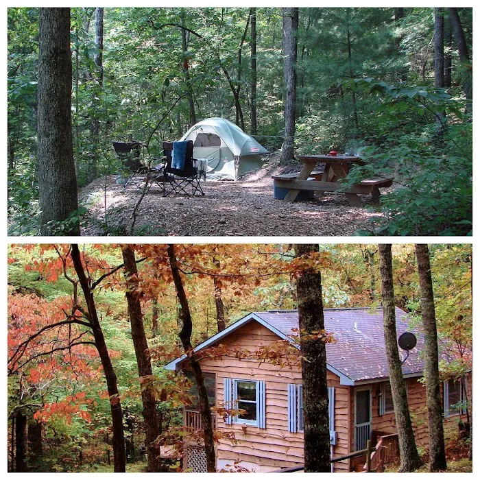 Ash Grove Mountain Cabins & Camping Picture 8