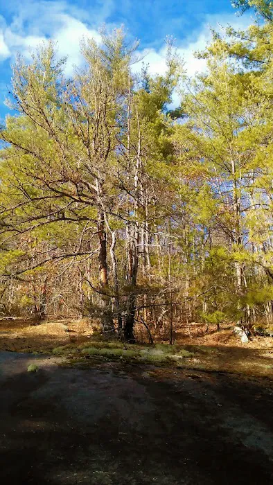 Ash Grove Mountain Cabins & Camping Picture 9