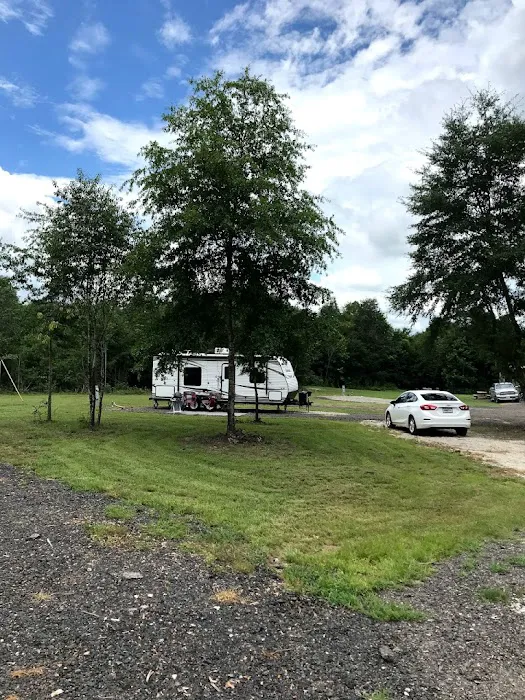 Local 215 RV Park Picture 2