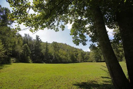 KUYKENDALL GROUP CAMPGROUND Picture 3