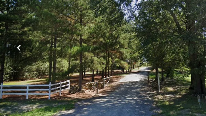 Z&J RV Sites Picture 3