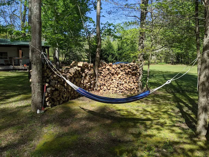 Tall Timbers Campground Picture 2
