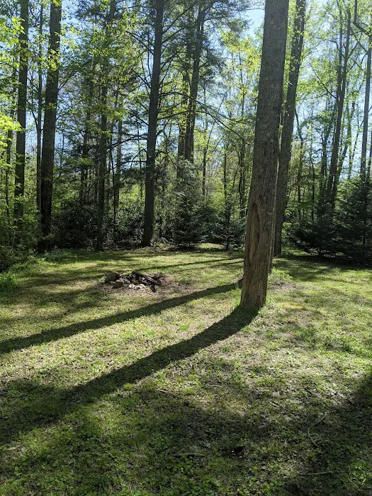 Tall Timbers Campground Picture 5