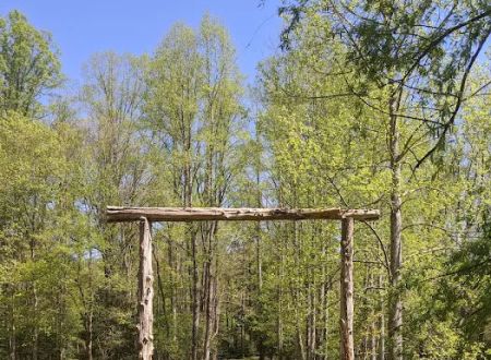 Tall Timbers Campground