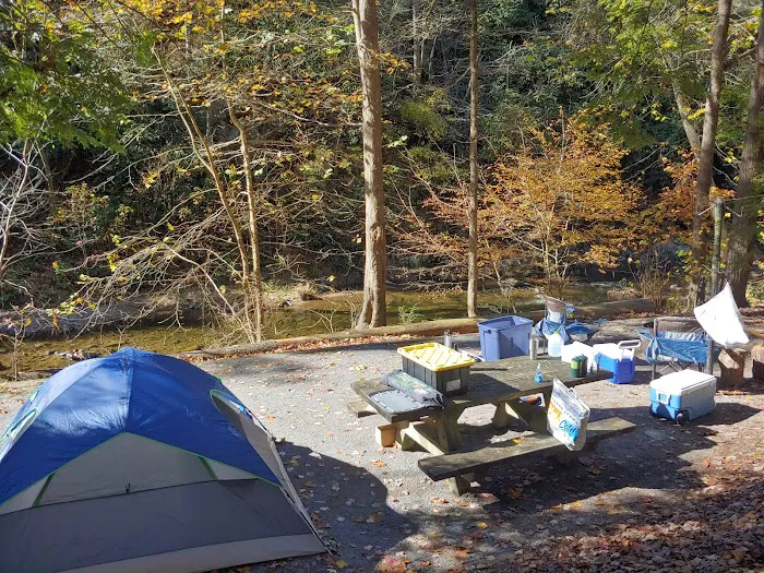 Paint Creek Campground Picture 9