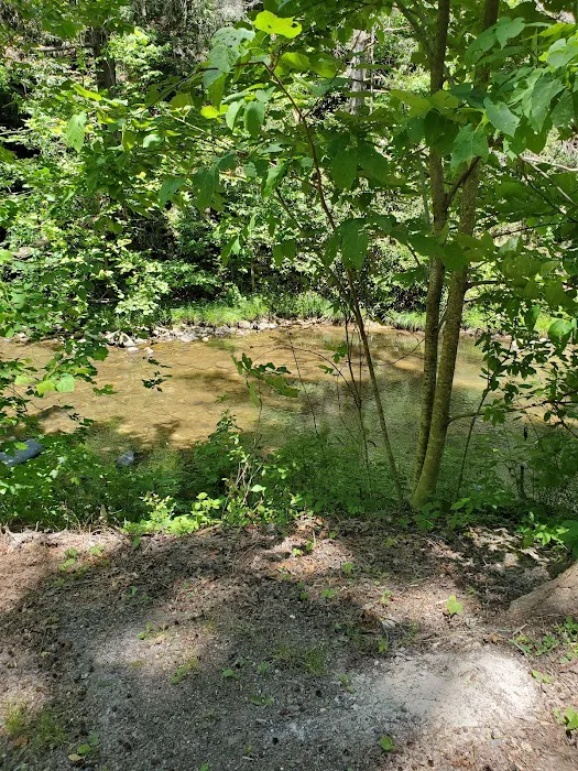 Paint Creek Campground Picture 3