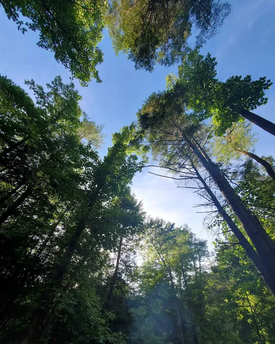 Paint Creek Campground Picture 6