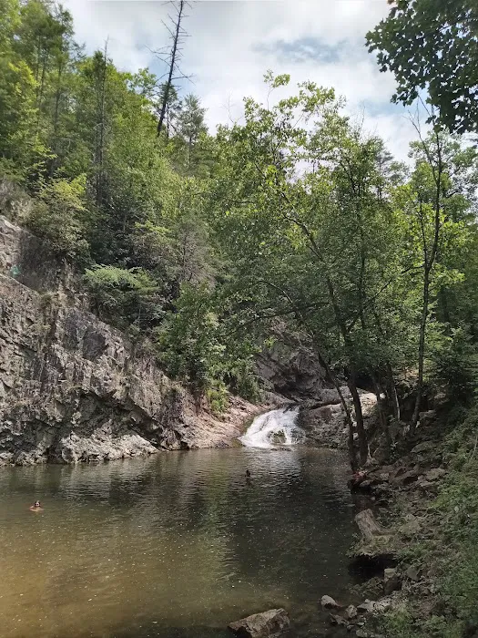 Paint Creek Campground Picture 1