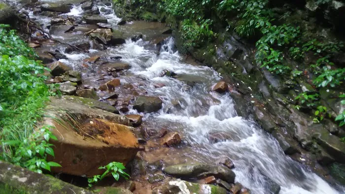 Weavers Bend Picture 9