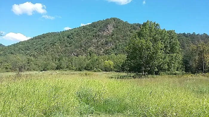Weavers Bend Picture 4