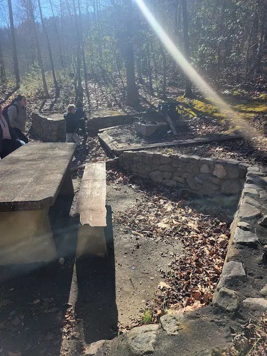 Rocky Bluff Campground Picture 2