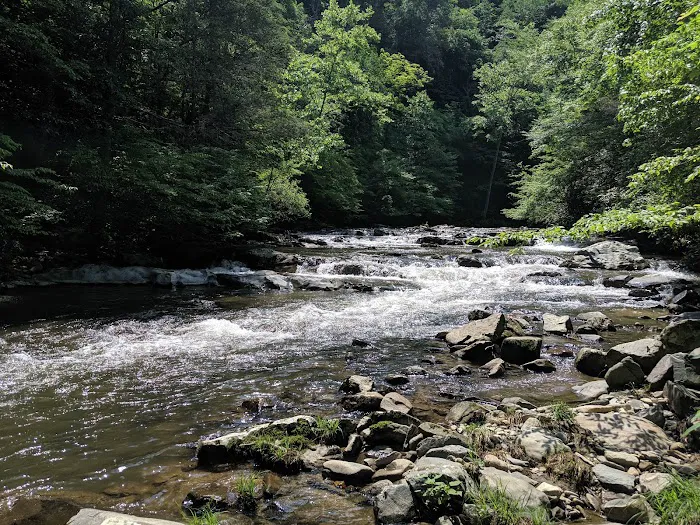 Rocky Bluff Campground Picture 8