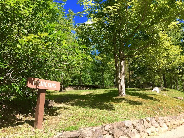 Rocky Bluff Campground Picture 7