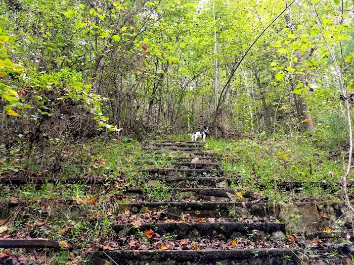 Rocky Bluff Campground Picture 9