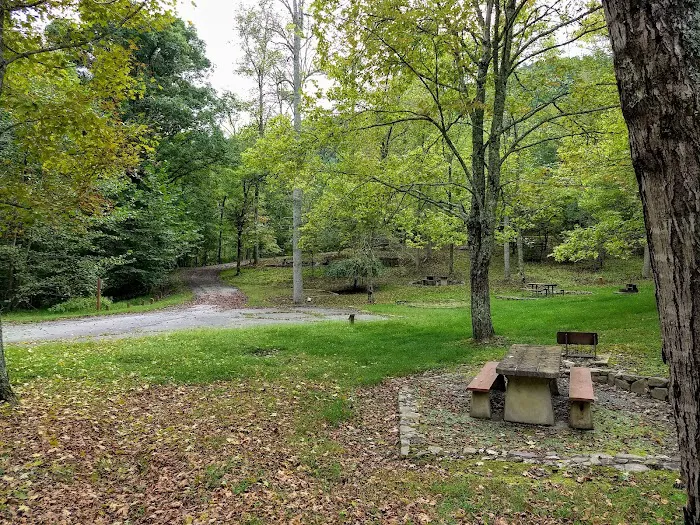 Rocky Bluff Campground Picture 5