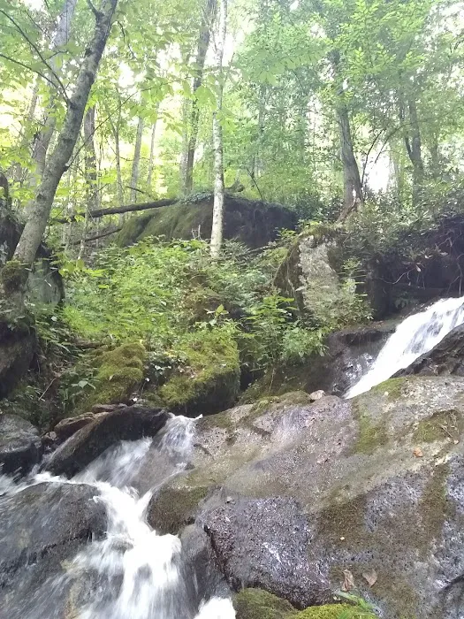 Rocky Bluff Campground Picture 3