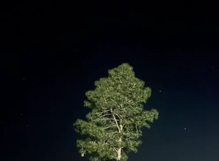 Curt's Campsites RV Park