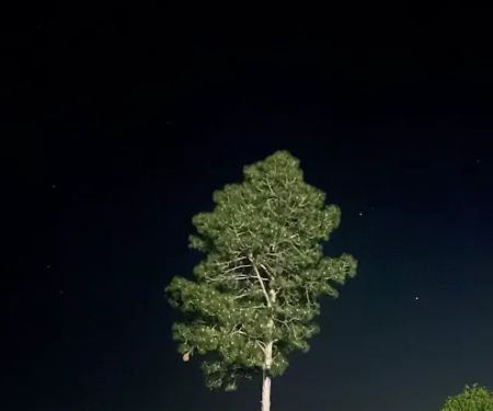 Curt's Campsites RV Park