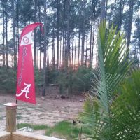 Plantation Pines RV Park ico