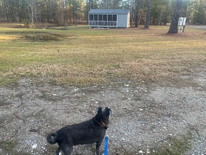 Tiny Woods Campground Picture 9