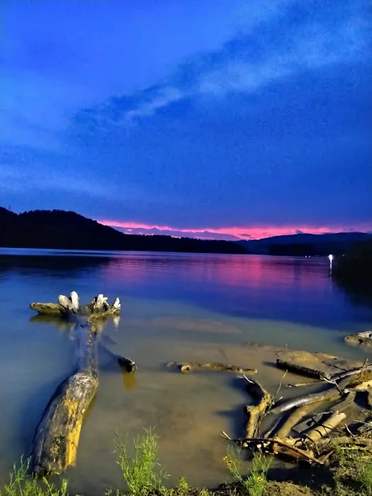 Greenlee of FALL CREEK Picture 7