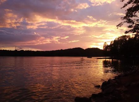 Greenlee of FALL CREEK